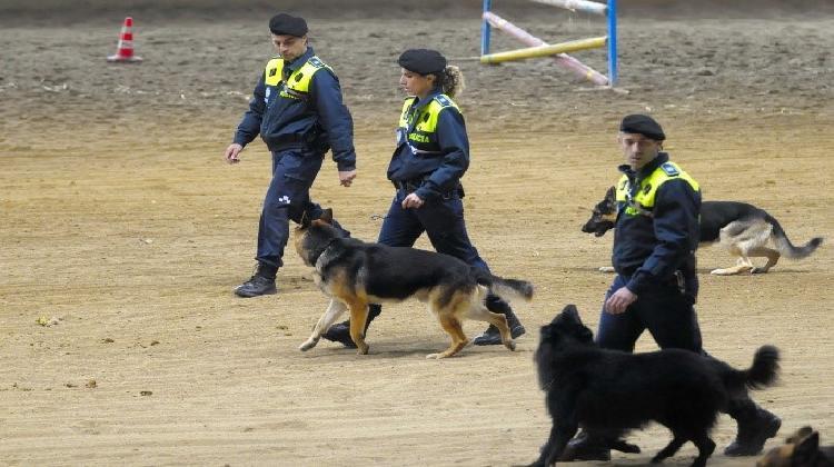 visita-centro-canino