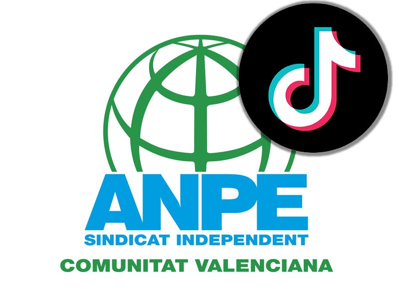 anpe_comunidad-valenciana_en