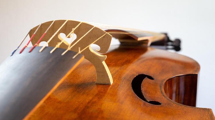 viola-da-gamba-7301921_1280