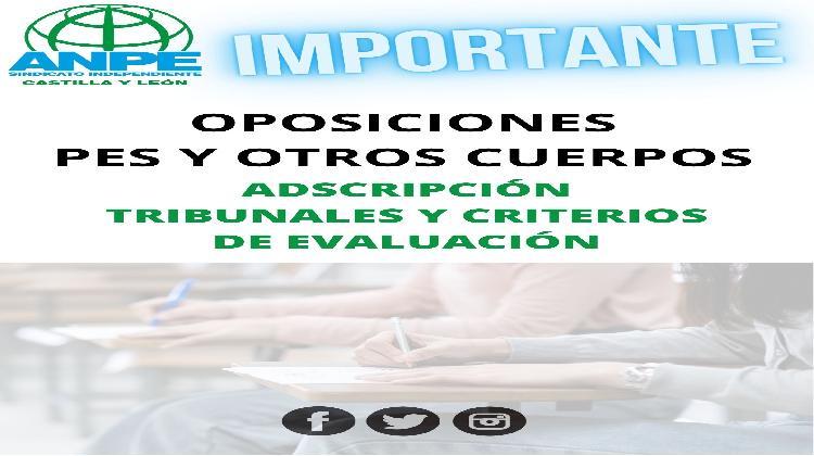 copia-de-copia-de-copia-de-copia-de-copia-de-copia