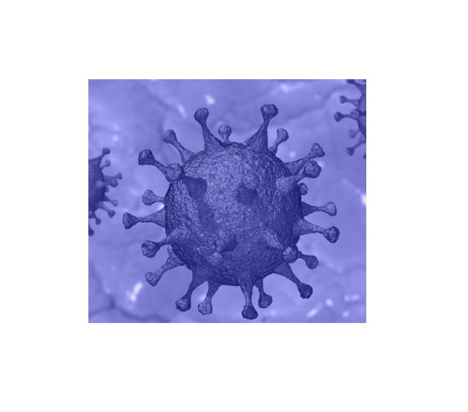 coronavirus-mini2